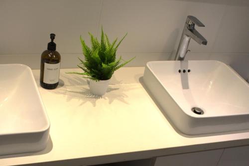 un lavandino in bagno con una bottiglia di vino e una pianta di Perla Marina Beach Condo- Walk to Yoga, Spa & Food a Sosúa