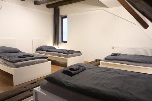 a room with three beds in a room at 11 Monteursapartments zur Alleinnutzung in Klingenberg am Main