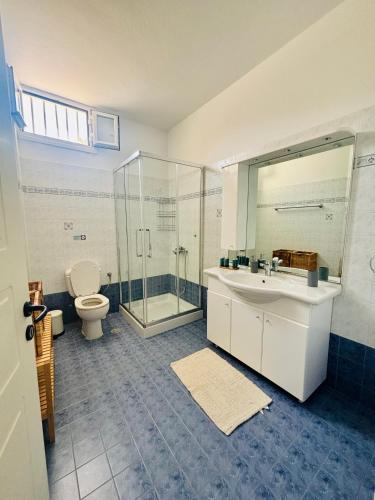 a bathroom with a shower and a sink and a toilet at Beachfront-Santa Marina Vacation Home in Parikia