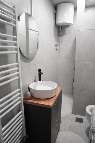 a bathroom with a white sink and a mirror at Apartman Iskra in Bijeljina