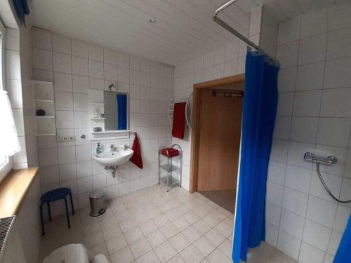 a bathroom with a sink and a toilet and a shower at Type C Comfortable holiday residence in Großbreitenbach