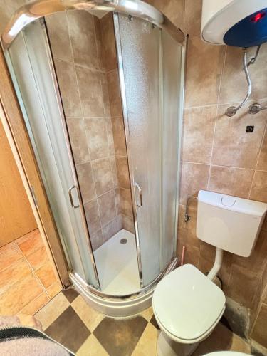 a shower in a bathroom with a toilet at Montetolgay in Becici
