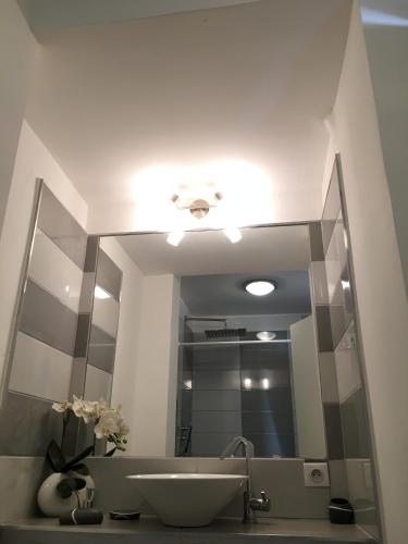 une salle de bain avec un lavabo et un grand miroir dans l'établissement Le Diodon De Sagone, à Sagone