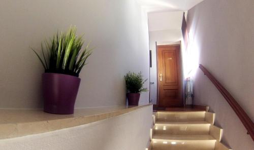 Gambar di galeri bagi Hostal Martin - Sanabria di Ribadelago