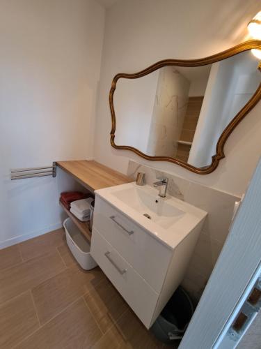 a bathroom with a sink and a mirror at Studio côté jardin in Maureillas
