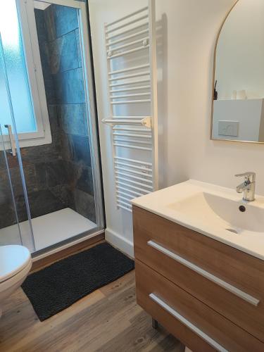 une salle de bain avec une douche, un lavabo et des toilettes dans l'établissement Nouveau sur Ax-les-Thermes, Grand appartement de 118m à 5 min du centre-ville, à Ax-les-Thermes
