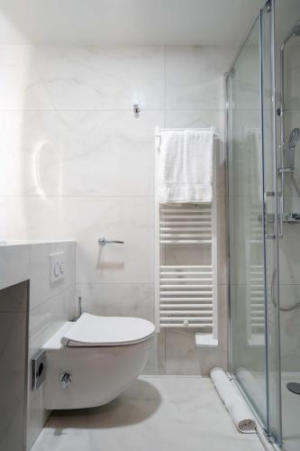 a white bathroom with a toilet and a shower at Hôtel et Restaurant Le Regina in Le Puy en Velay