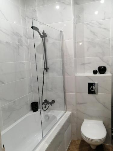 une salle de bain blanche avec douche et toilettes dans l'établissement Centre de vienne, spacieux avec balcon, à Vienne