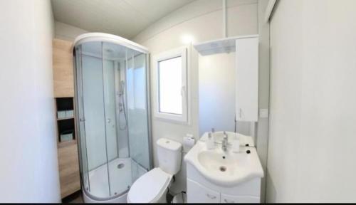 a bathroom with a toilet and a sink and a shower at Mobilhome Maja in Pirovac