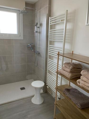 une salle de bain avec douche et toilettes dans l'établissement Maison avec jardin, à Dunkerque