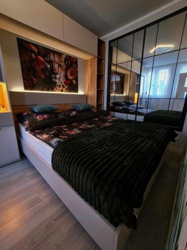 Apartament Gwiezdna 15