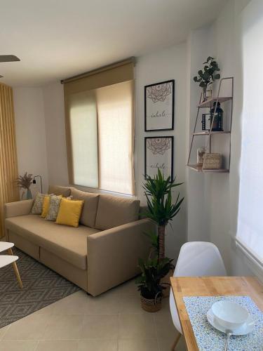 Mandala Suite
