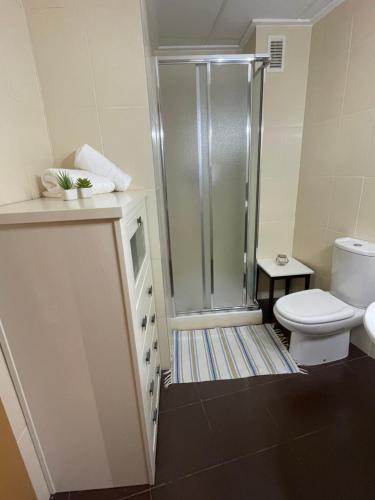 a bathroom with a shower and a toilet at Apartamento Leticia in La Tercia