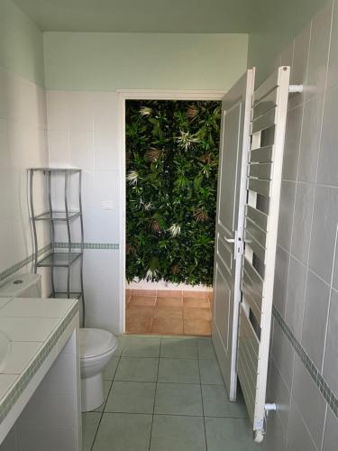 La salle de bains est pourvue de toilettes et d'un bush vert. dans l'établissement Villa - La Remise, à Saint-Michel-en-lʼHerm