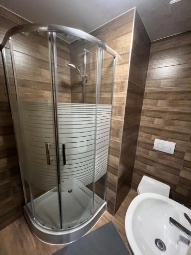 a bathroom with a shower and a sink at Bestdrive Pokój 14 in Babienica