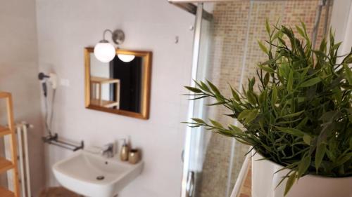 ein Badezimmer mit einem Waschbecken und einer Topfpflanze in der Unterkunft Rooms hub Portarotese in Salerno