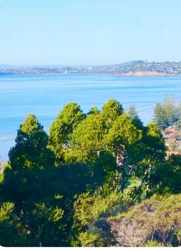 a view of a large body of water with trees at Villa Del Mar Seaside Escape in Orewa