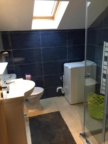 a bathroom with a toilet and a sink and a skylight at Gites Des Sablons in Châtillon-sur-Marne