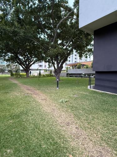 a tree in the grass next to a building at New and Luxurious Apt in Cipreses de San Ignacio in Tegucigalpa