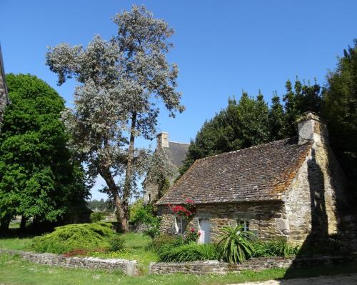 Κήπος έξω από το Maison de Charme avec Jardin, à 5 min de la mer