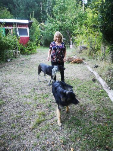 a woman walking two dogs in a yard at Cabaña May Pao, para 3 en Melipeuco cerca del Parque Nacional Conguillio in Melipeuco