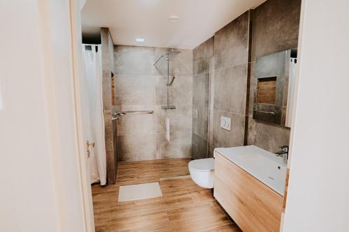 a bathroom with a toilet and a sink at Ubytování Ve dvorku in Uherčice