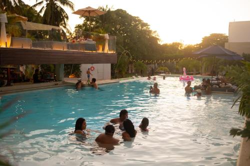 a group of people swimming in a swimming pool at Dreamer Beach Club in San Andrés