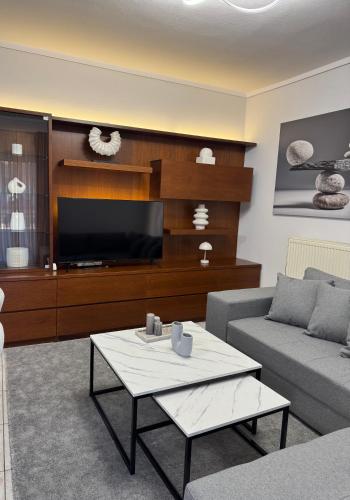 TV a/nebo společenská místnost v ubytování Mnēmes Apartment