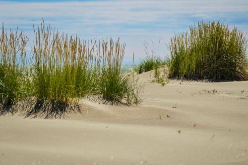 a field of grass on a sandy beach at Il Piccolo Albero in Scardovari