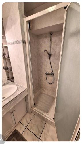 une salle de bain avec douche et lavabo dans l'établissement ' Les pieds dans L'Eau ', à Sainte-Marie-la-Mer