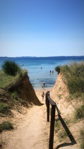 a dog walking down a sandy path to the beach at Wagner Unterkunft in Vir