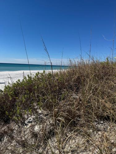 a beach with grass and the ocean in the background at Blue Neptune at 5313 Sunset Avenue by Nautical Properties Vacation Rentals in Panama City Beach