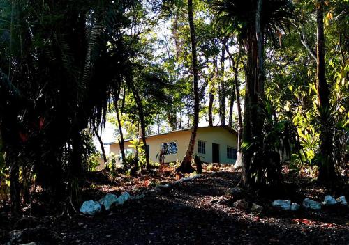 a house in the middle of a forest at Grutas el Encanto - Casa de la Colina - Ruta a Petén in Rio Dulce