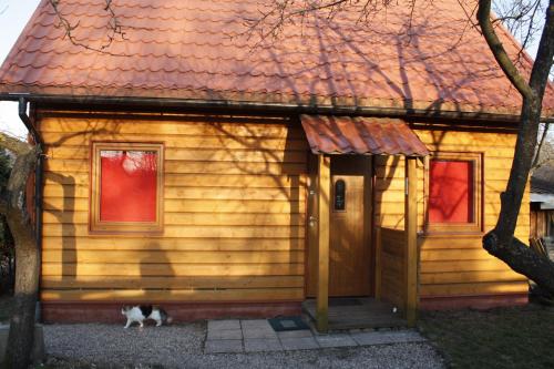 a cat is standing outside of a tiny house at The Jolly Man in Vilnius