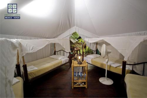 Billede fra billedgalleriet på Expediciones Mexico Verde i Jalcomulco