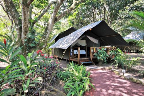 Billede fra billedgalleriet på Expediciones Mexico Verde i Jalcomulco