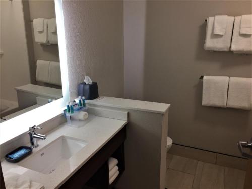 a bathroom with a sink and a mirror at Holiday Inn Express & Suites Danville by IHG in Danville