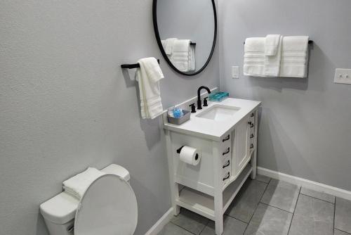 a bathroom with a toilet and a sink and a mirror at Peaceful Midtown Apartment with Gym and Parking in Tulsa