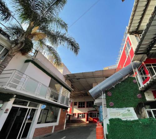 a building with a palm tree in front of it at Hotel Galeria & Boutique in Mexico City