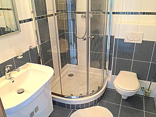 a bathroom with a shower and a toilet and a sink at Apartmány Vojta in Telč