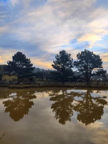 a reflection of trees in a body of water at Pousada Rancho do Lago in Osório