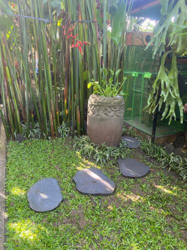 a garden with stepping stones in the grass at Suryadina Guest House in Ubud