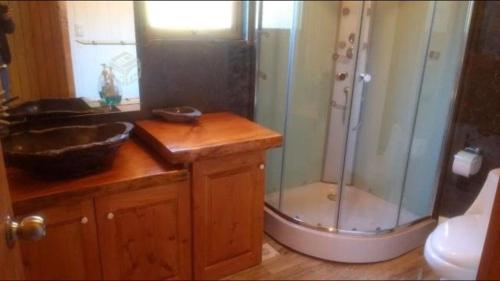 a bathroom with a shower and a sink and a sink at Cheerful Santa Juana Cabin in Santa Juana