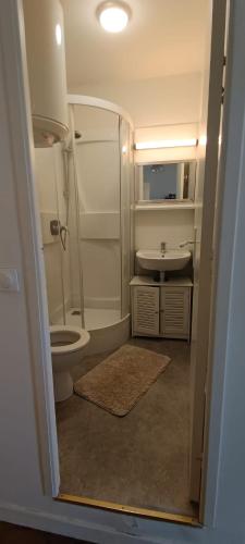 une salle de bain avec une douche, des toilettes et un lavabo dans l'établissement La Suite Sinatle Rennes Hyper Centre - 2 personnes, à Rennes