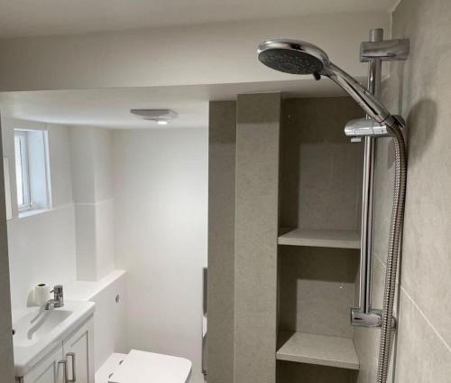 a bathroom with a shower with a toilet and a sink at The Grieg in Wadhurst
