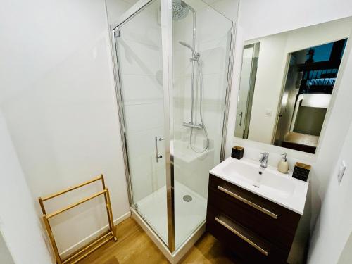 une salle de bain avec douche et lavabo dans l'établissement Le Loft - Entre Loire et Chateau Royal - Manoir de la Concorde, à Amboise