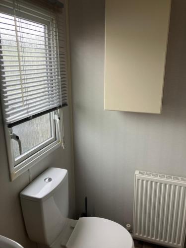 a bathroom with a white toilet and a window at Carnoustie 24 - Turnberry Holiday Park - short walk to beach in Girvan