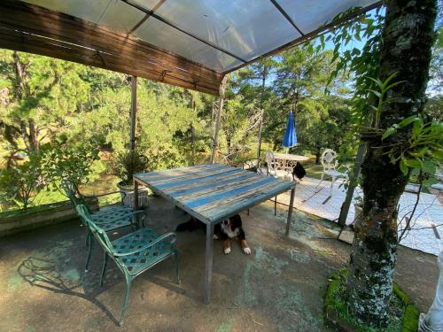 Κήπος έξω από το Casa de Vidro II com Lago, cachoeira, piscina, caiaque, escorrega no Lago - 90km de São Paulo