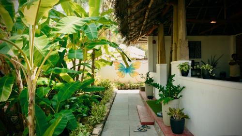 a garden with lots of plants and a walkway at Santa Maria - A Premium Boutique Homestay by the Sea I Trivandrum Airport 1mile in Trivandrum