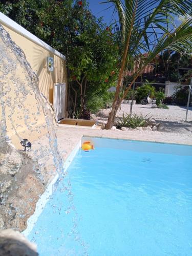 AVE FENIX Apartments